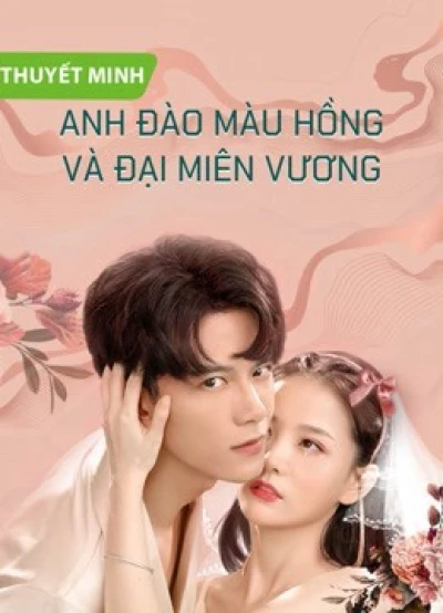 Anh Đào Màu Hồng Và Đại Miên Vương - Why Women Cheat (Vietnamese Ver.) (2021)