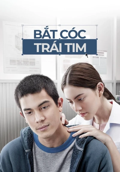 Bắt Cóc Trái Tim