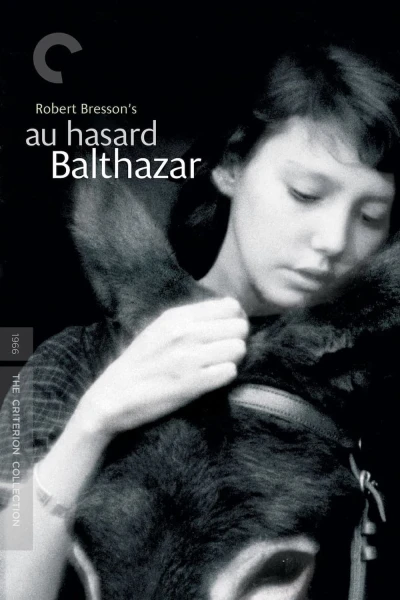 Chú Lừa Balthazar - Au Hasard Balthazar (1966)