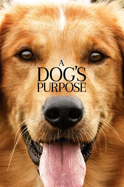 Mục Đích Sống Của Một Chú Chó - A Dog's Purpose (2017)