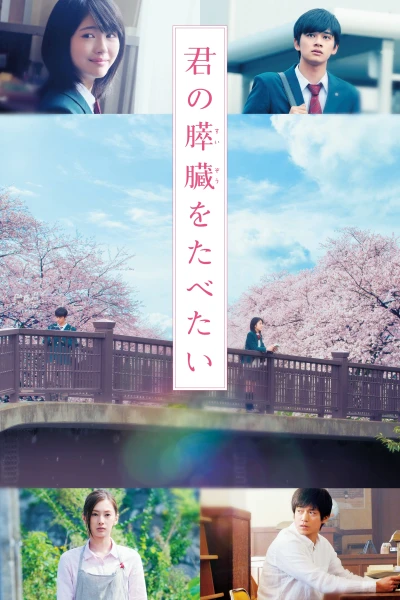 Tớ Muốn Ăn Tụy Của Cậu - Let Me Eat Your Pancreas (2017)